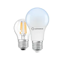 Lampadine LED E27 - 6500K