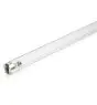 Philips T8 UV - C 25W - Ultravioletto | 44cm
